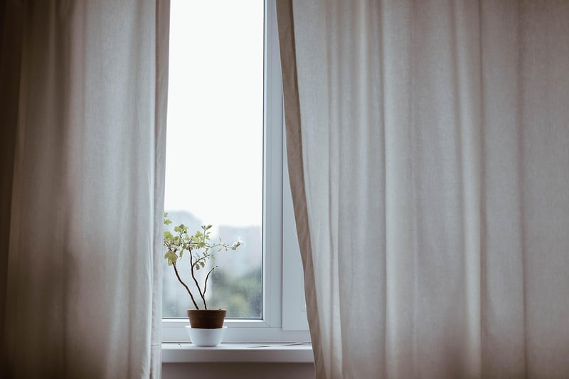 Edible plants for indoors