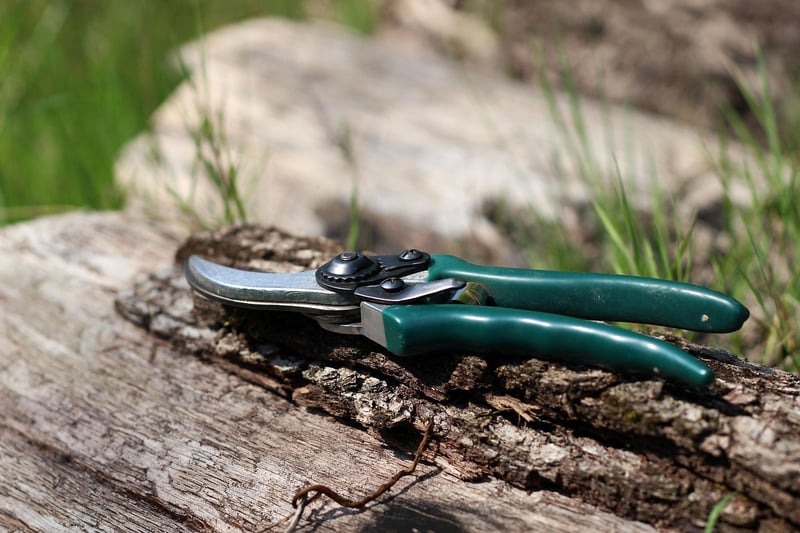 Pruning and grooming