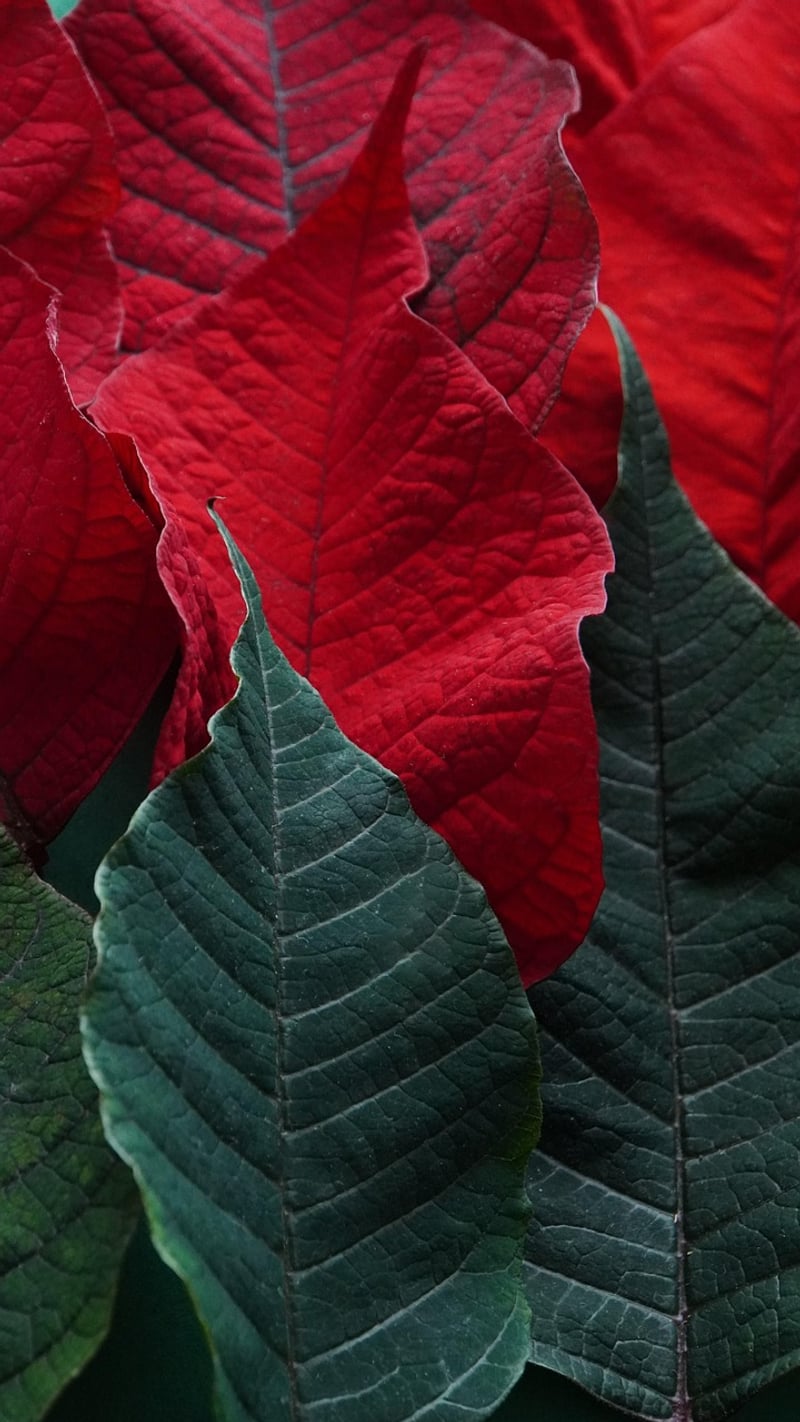 Textural Tapestry