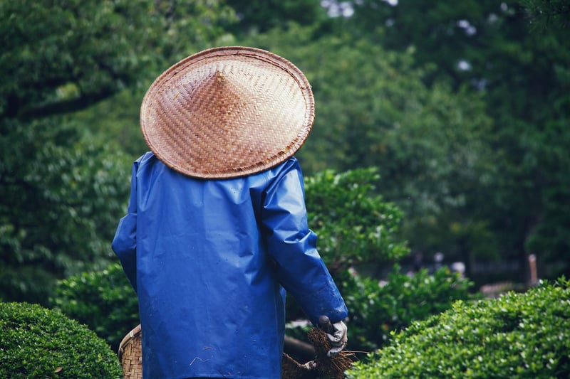 Gardening Gloves